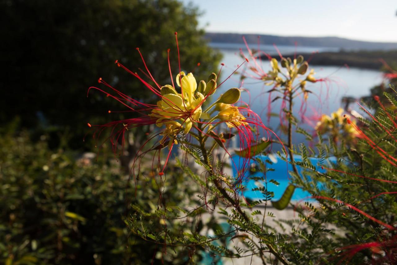Resort Haus Toma Cesarica Exteriér fotografie