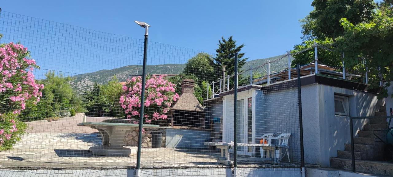 Resort Haus Toma Cesarica Exteriér fotografie