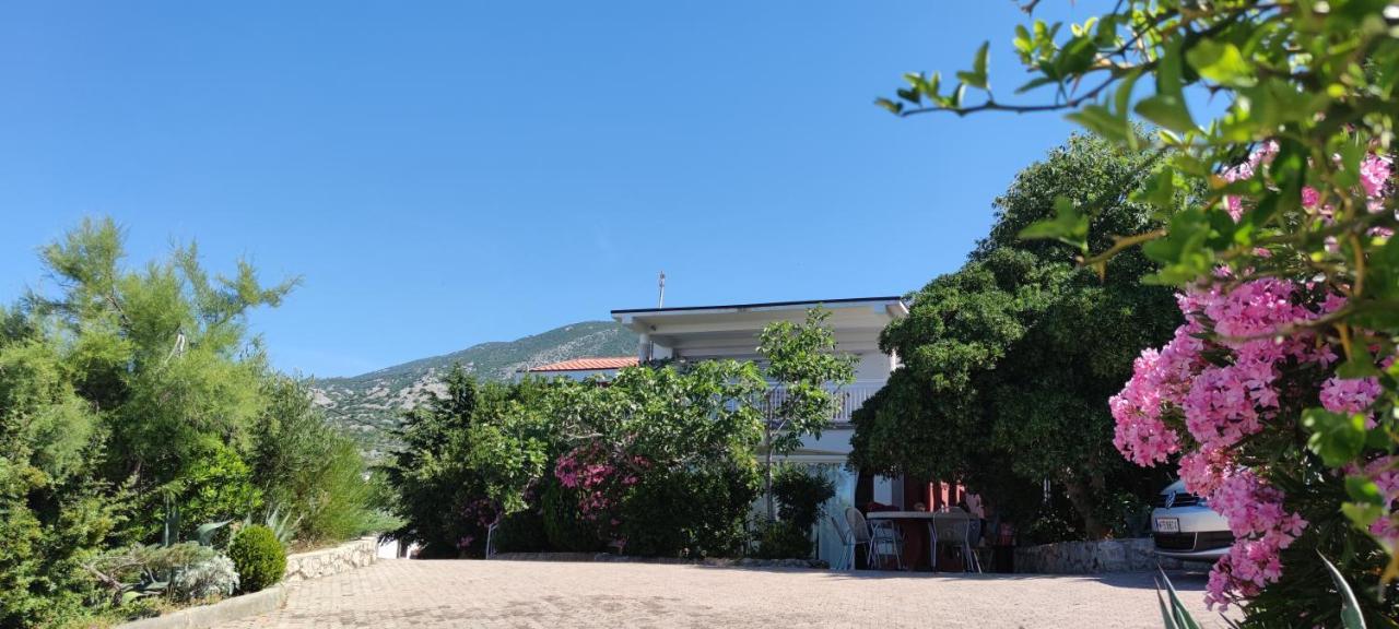 Resort Haus Toma Cesarica Exteriér fotografie