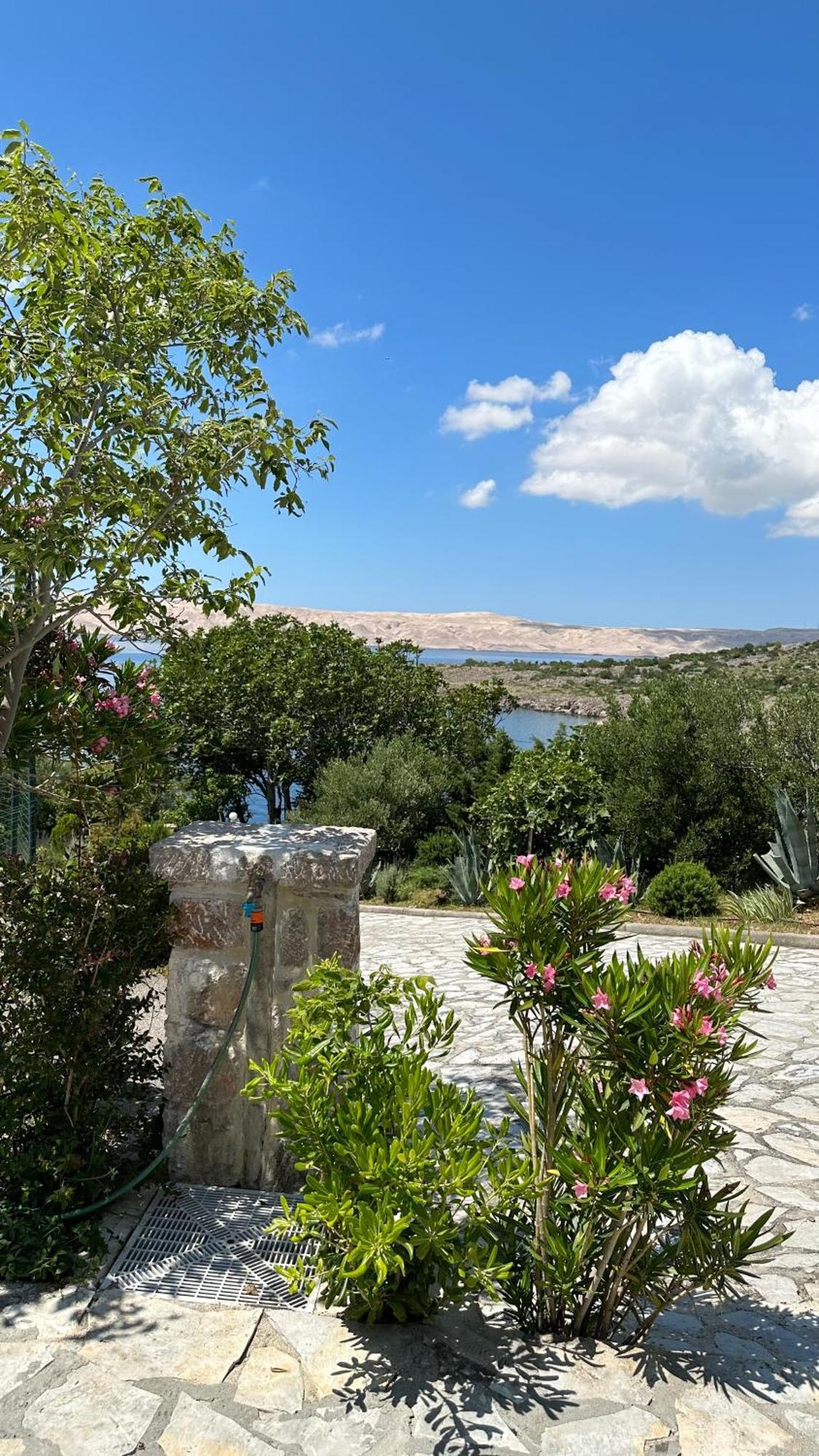 Resort Haus Toma Cesarica Exteriér fotografie