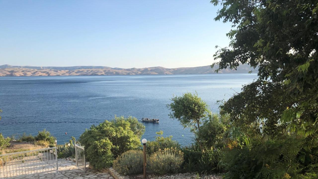 Resort Haus Toma Cesarica Exteriér fotografie